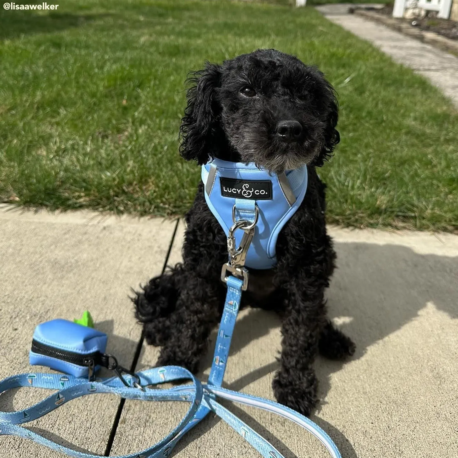 Denim Blue Poop Bag Holder