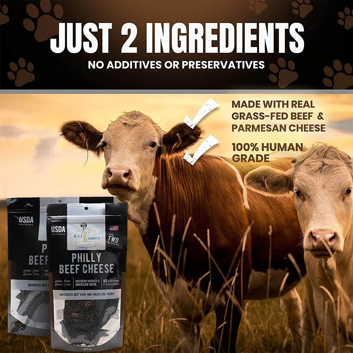 Philly Beef Cheese Jerky Dog Treats