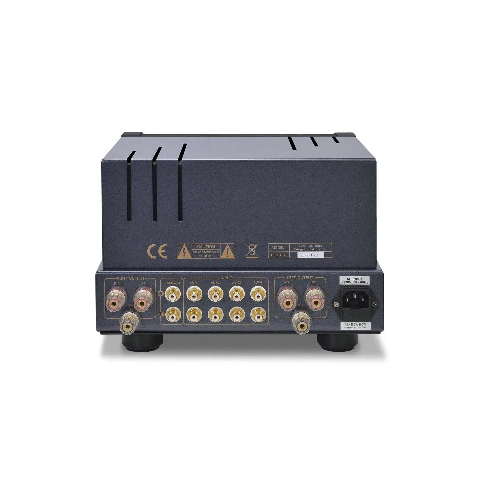 PrimaLuna EVO 100 Tube Integrated Amp