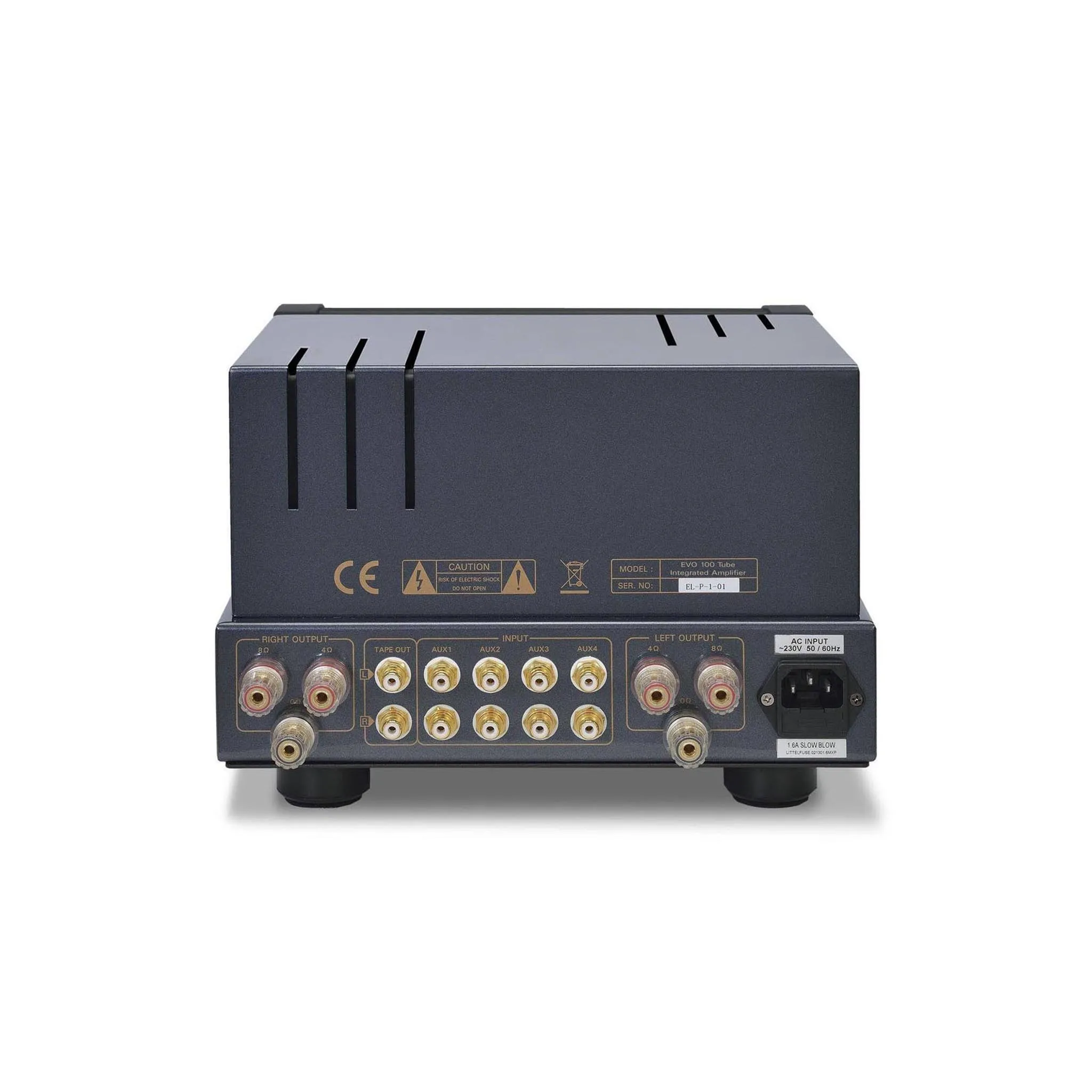 PrimaLuna EVO 100 Tube Integrated Amp