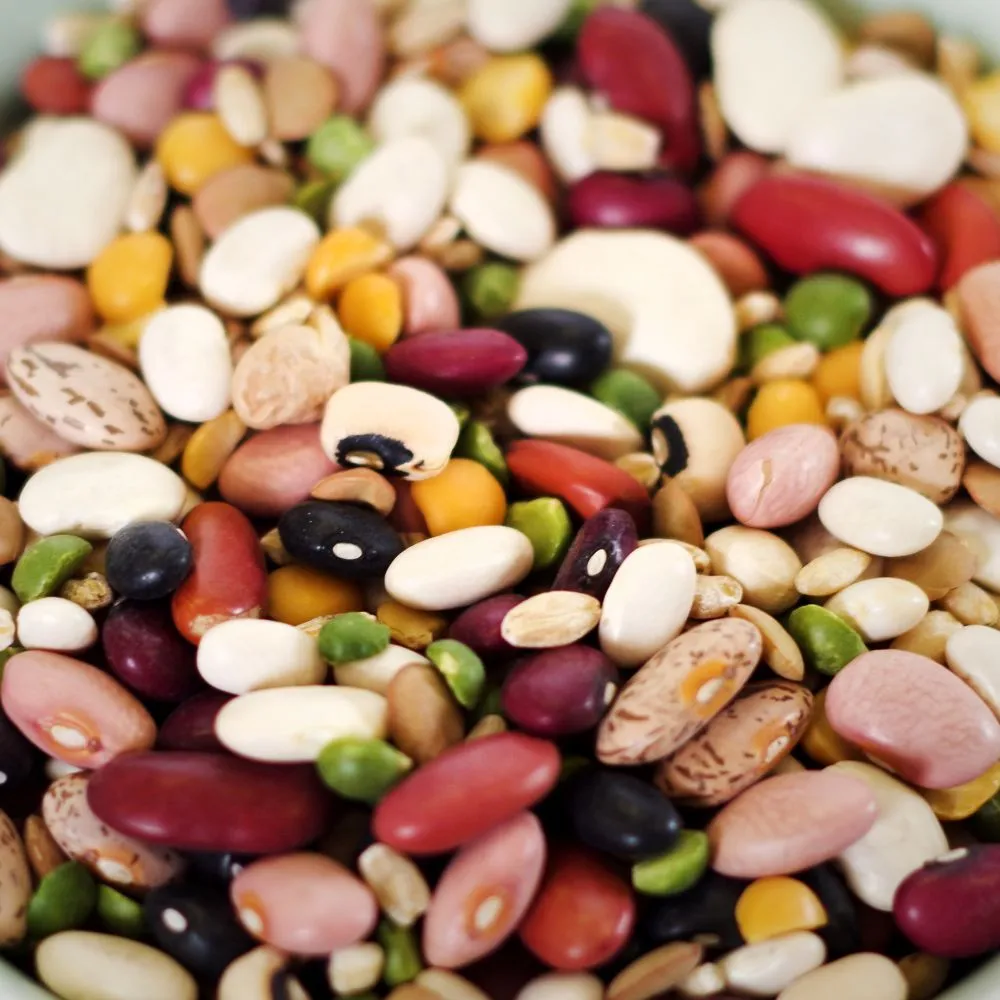 Rainy Day Foods Gluten-Free 16 Bean Mix - 5 Gallon 35 lbs Super Pail - 172 Servings