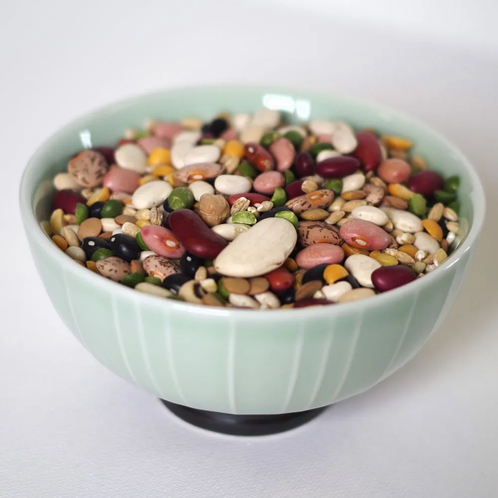 Rainy Day Foods Gluten-Free 16 Bean Mix - 5 Gallon 35 lbs Super Pail - 172 Servings